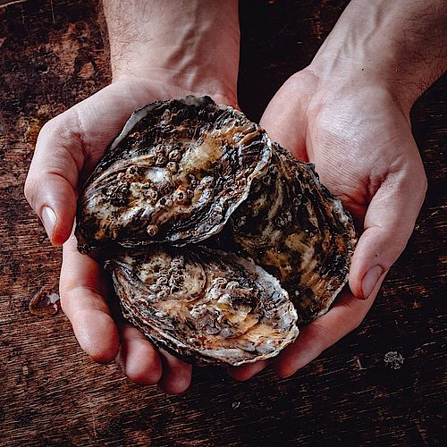 Have you tried our new dinner menu yet? It's full of lots of seasonal dishes. Our oysters are kept simple, the taste...